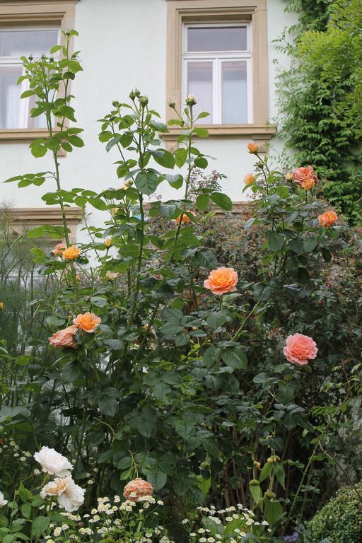 Maison Mille Fleurs Sankt Julian Bagian luar foto