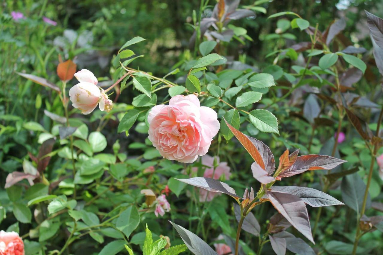 Maison Mille Fleurs Sankt Julian Bagian luar foto