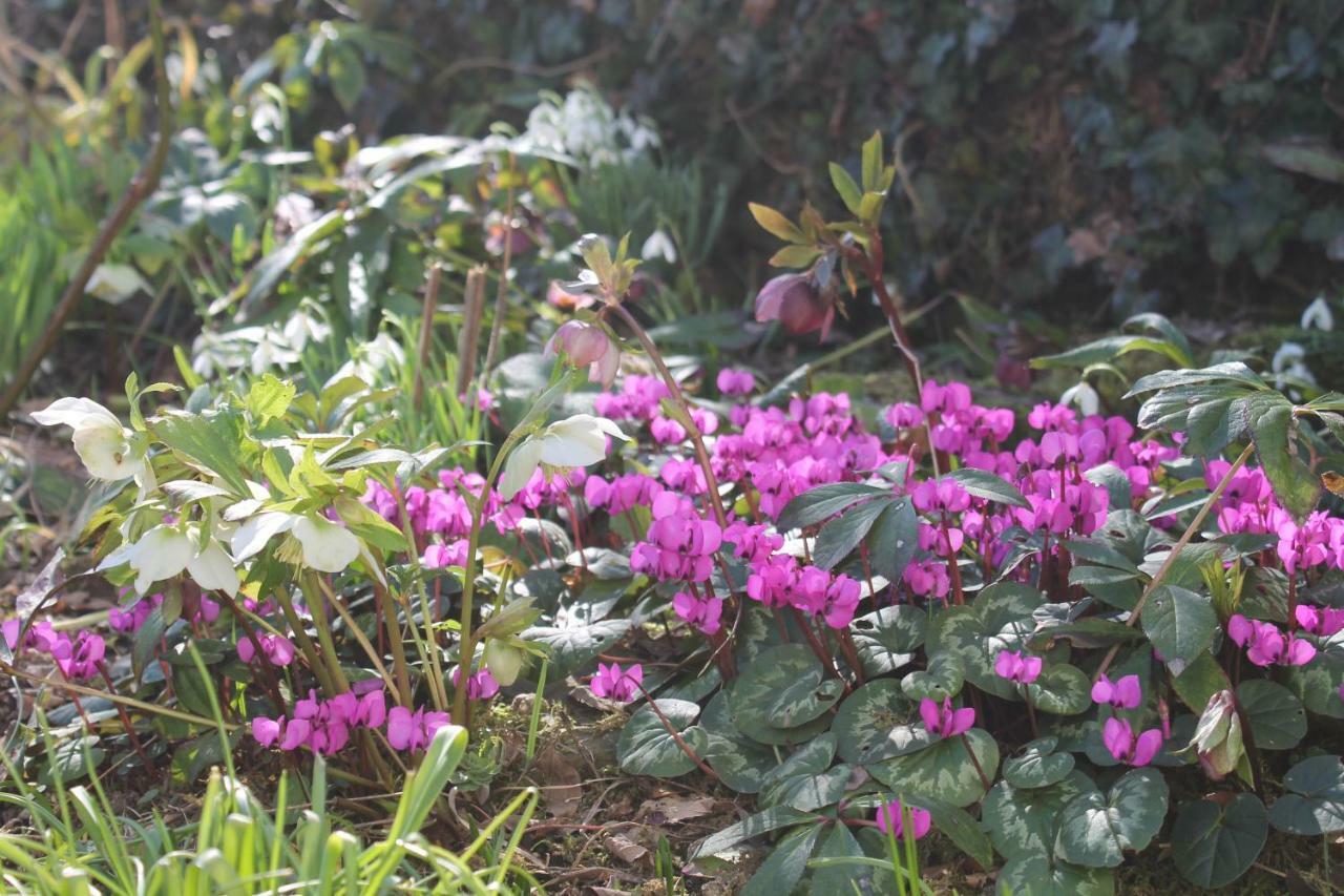 Maison Mille Fleurs Sankt Julian Bagian luar foto